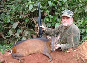 bay duiker trophy cameroon