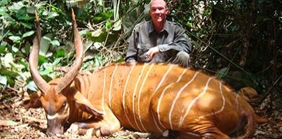 bongo trophy cameroon