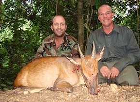 peter's duiker trophy cameroon