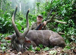 sitatunga trophy cameroon